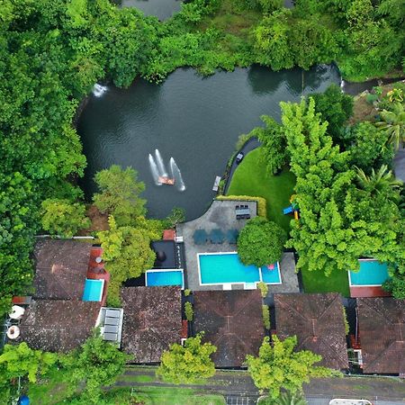 Athirapally Green Trees Athirappilly Bagian luar foto