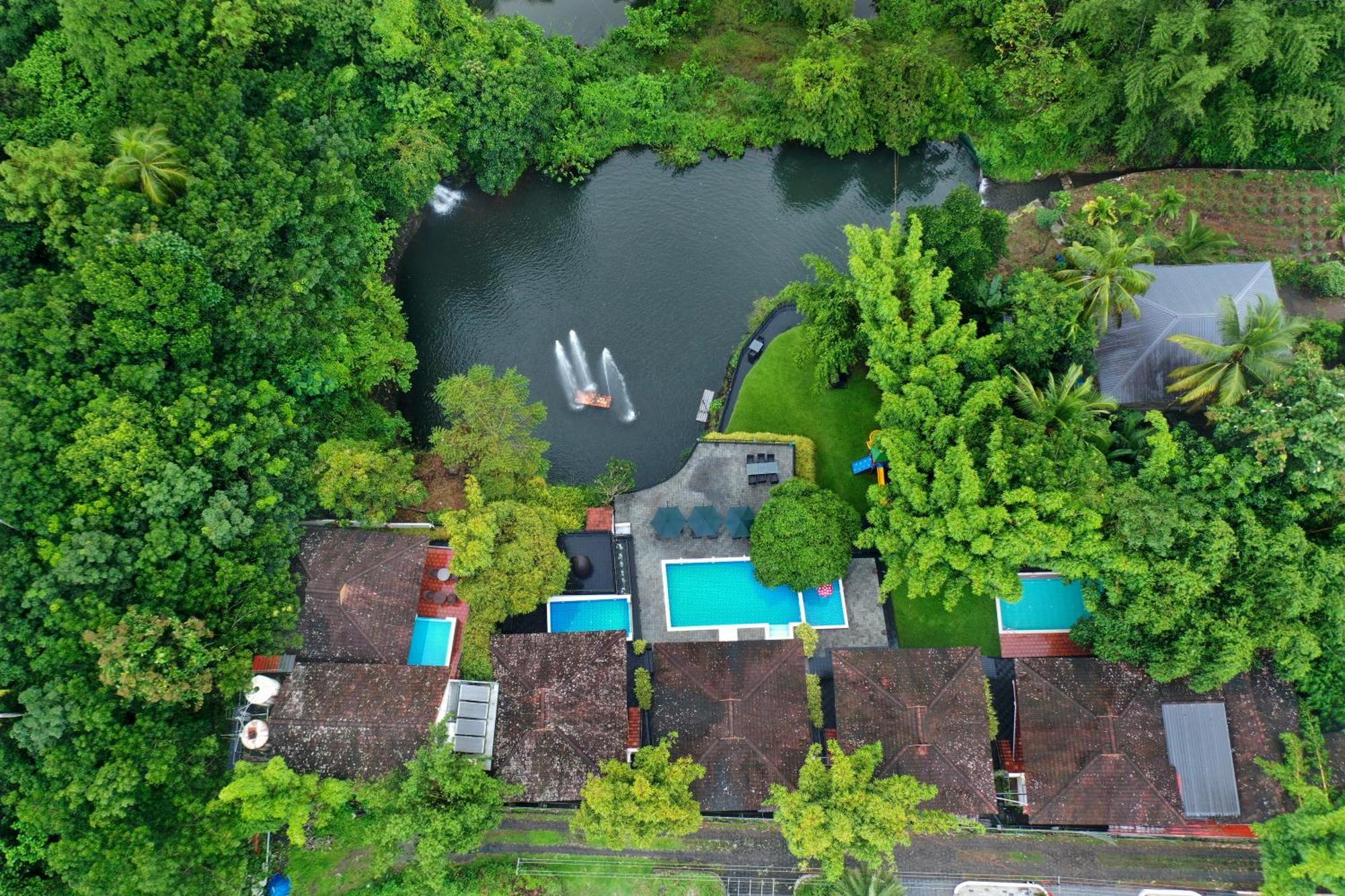 Athirapally Green Trees Athirappilly Bagian luar foto